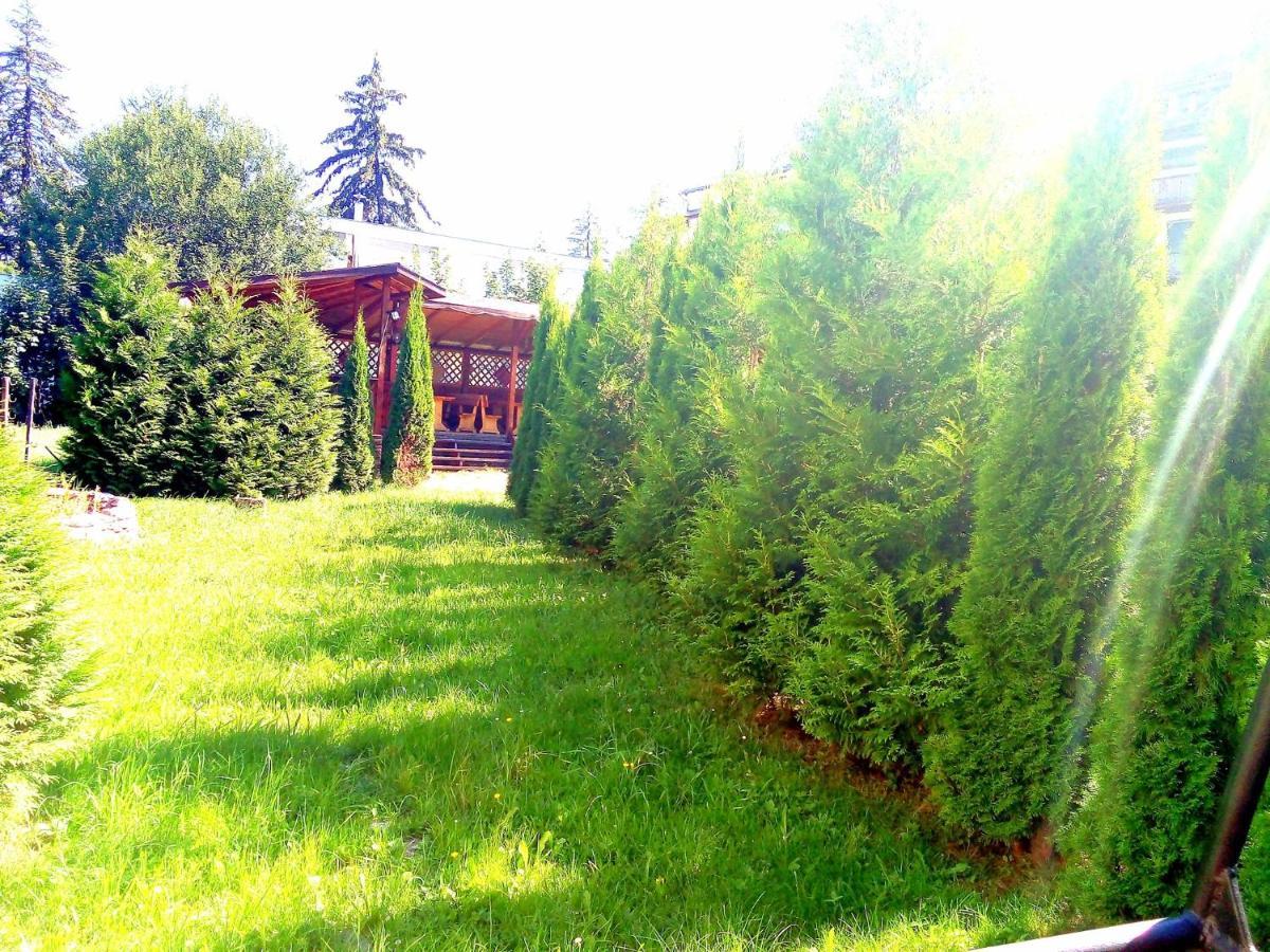 Hotel Miraj - Restaurant & Sauna & Biliard ポイアナ・ブラショフ エクステリア 写真